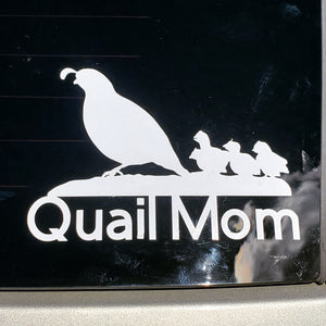 A bob white quail with chicks standing on a piece of ground with the words Quail Mom underneath
